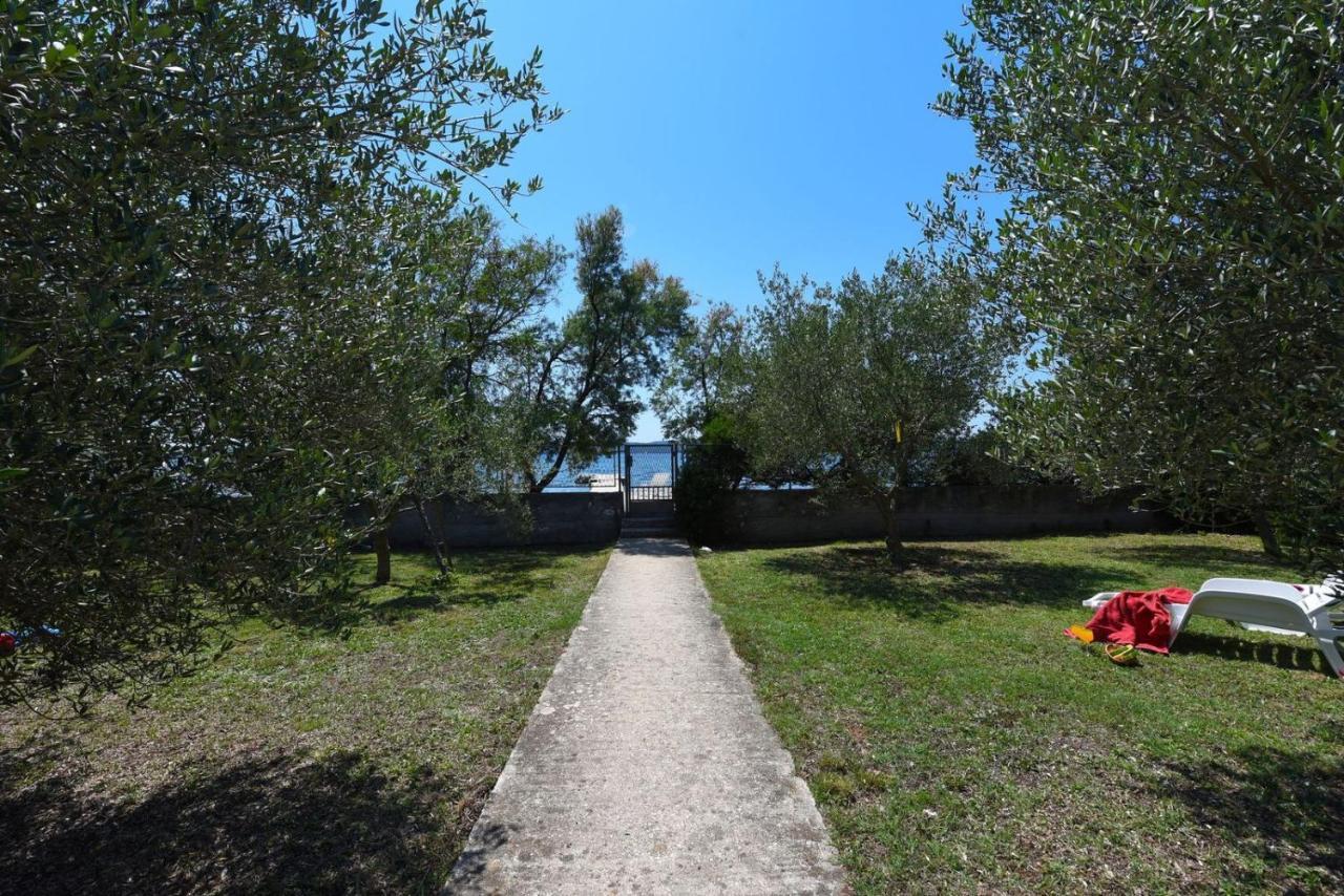 Apartments Bibinje By The Beach 外观 照片